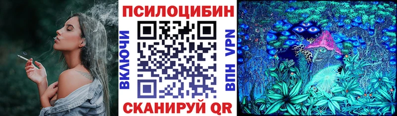 Галлюциногенные грибы мухоморы  Олонец 